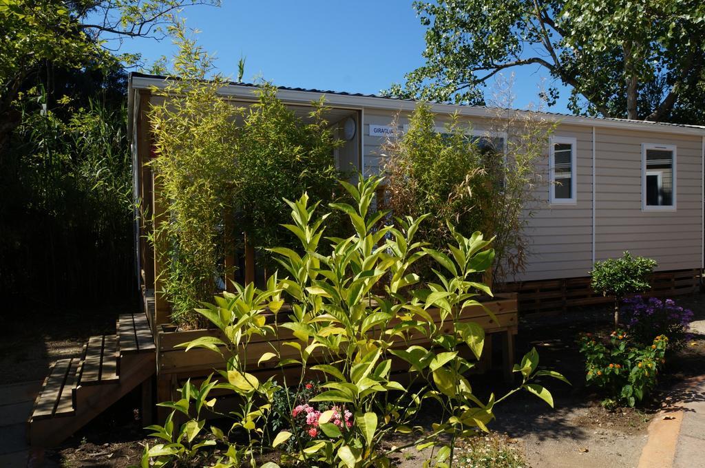 Camping International Calvi  Exterior photo