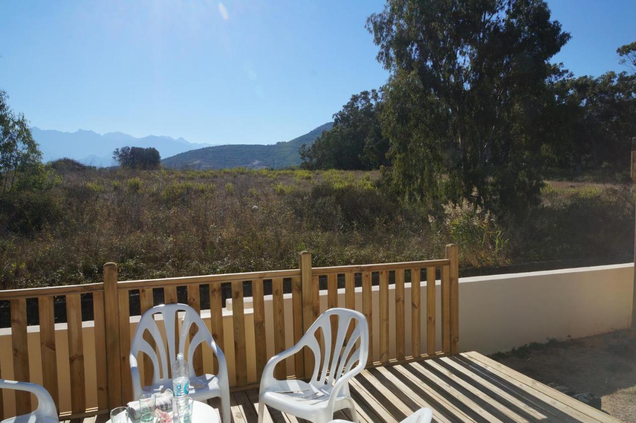 Camping International Calvi  Exterior photo